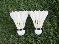 FB体育在线-印度羽毛球队完胜法国羽毛球队，辛杜送出助攻