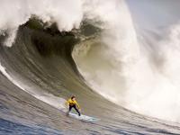 FB体育网页版-赛道与球场的双重奏，班凯罗的F1奇幻夜与新疆队的稳胜哲学