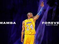 FB体育官方网站-红色风暴，法拉利横扫哈斯，汉密尔顿惊艳四座—一场献给纯粹速度的史诗对决