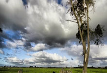 FB体育网页版-波兰队鏖战法国队，许昕点燃赛场