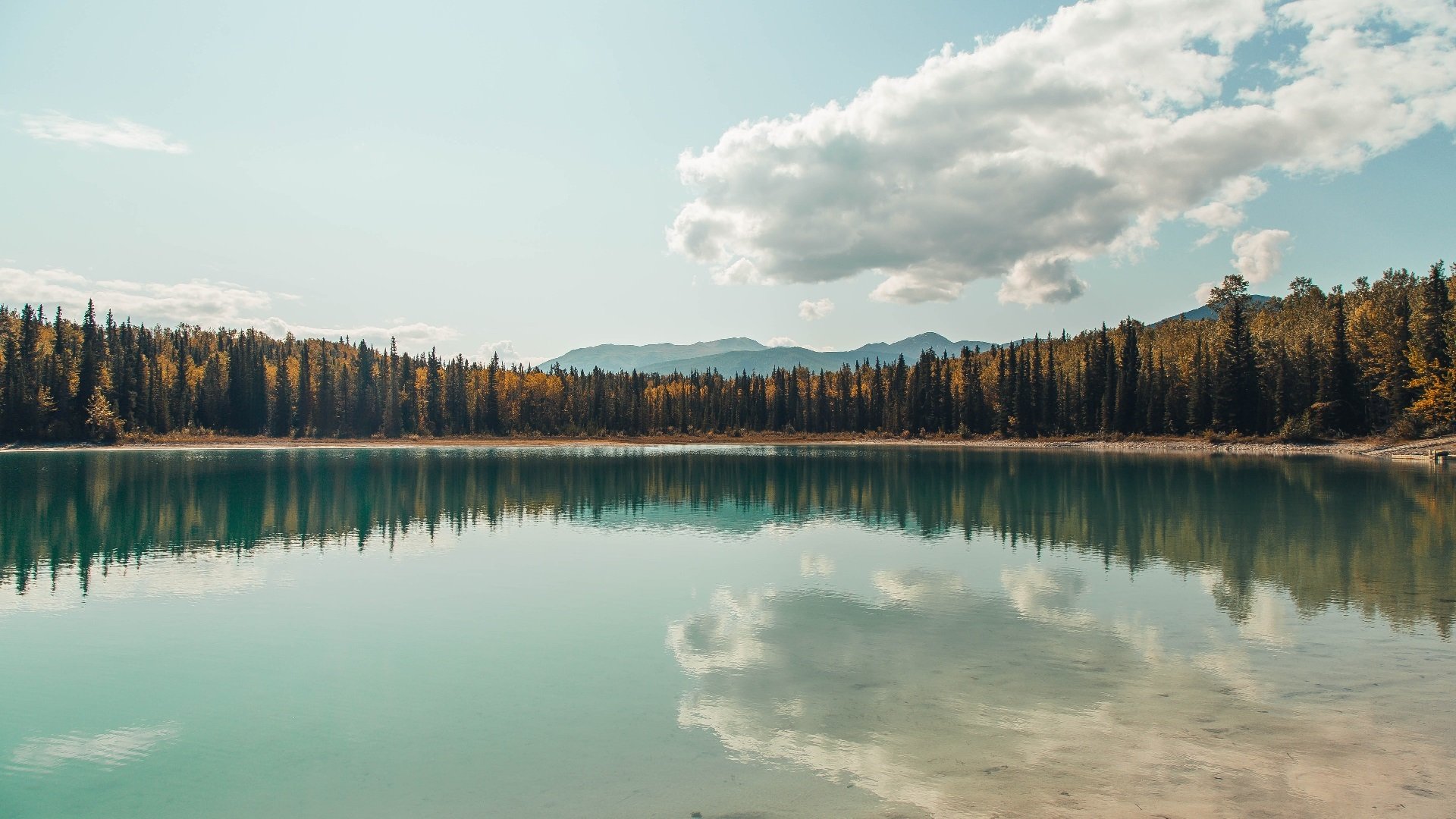 黄喜灿一锤定音,爱尔兰强势击溃洪都拉斯